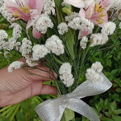 Floreria Y Vivero Mi Jardín
