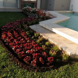 Floreria Y Vivero Rosita