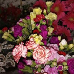 Flores Amore