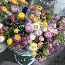 Flores Berisso M.a.g.a. Floreria