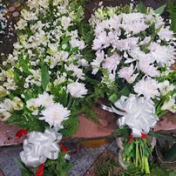 Flores Carlitos