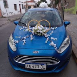 Flores De Angel
