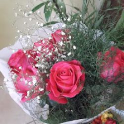 Flores De La Cruz