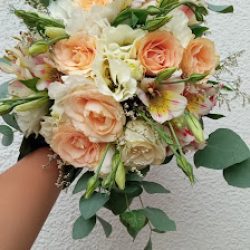 Flores De La Villa