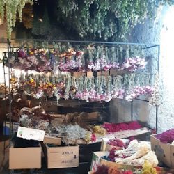Flores Del Manantial