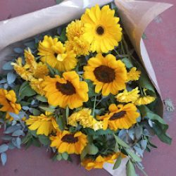 Flores Del Pilar