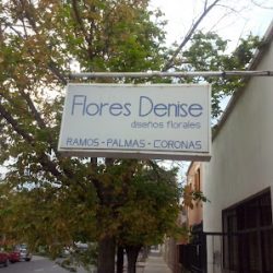 Flores Denise