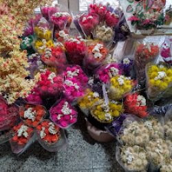 Flores Desecadas Los Secos De José