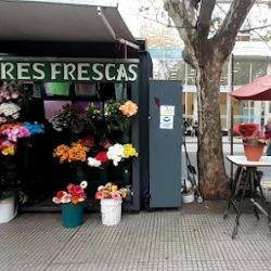 Flores Frescas San Martín 20 Años