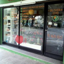 Flores Frescas