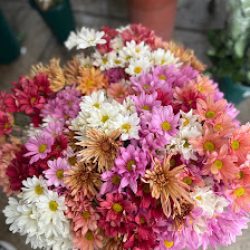 Flores Interflor
