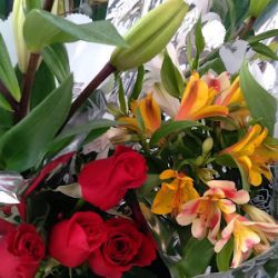Flores Irma