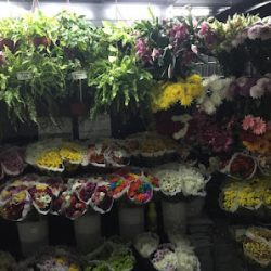 Flores Juanca