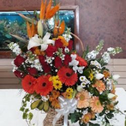 Flores Mascolo
