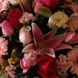 Flores Miriani