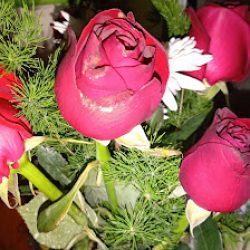Flores Monte Grande