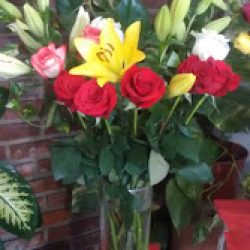 Flores Némesis