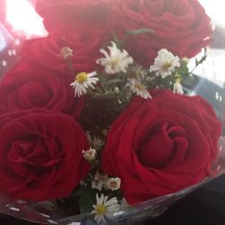 Flores Noni
