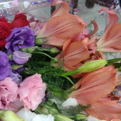 Flores Orkidea's