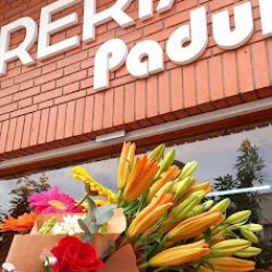 Flores Padul