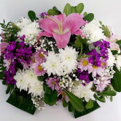 Flores Pehuen