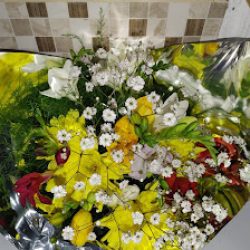 Flores Tamara