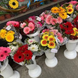 Flores Tato