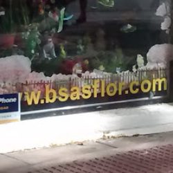 Flores Y Plantas Sole
