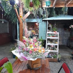Floresdenati