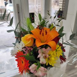 Florysol - Floreria