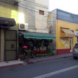 Flower Garden