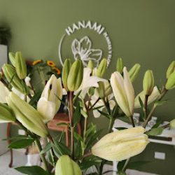 Hanami Plantas Y Flores