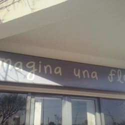 Imagina Una Flor