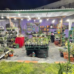 Jardín De Guadi - Almacén De Plantas