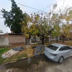 Jardines Verticales V&g