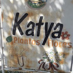Katya