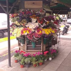 La Calesita Kiosco De Flores
