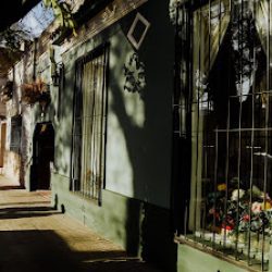 La Casa De Las Flores - Winifred Estacion De Flores