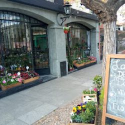 La Casa De Las Flores