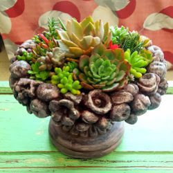 La Chica De Las Flores - Vivero