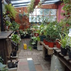 La Florera - Almacén De Jardinería
