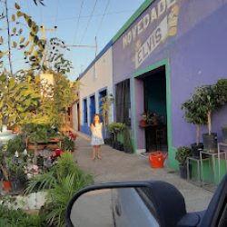 La Floreria De Tu Ciudad