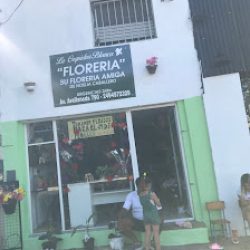 La Orquídea Balnca Necochea _tandil