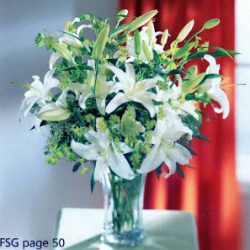 La Orquídea De Cecilia Camuyrano