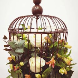 La Rosa