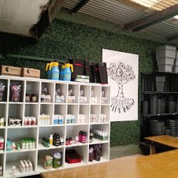 Lalita Growshop