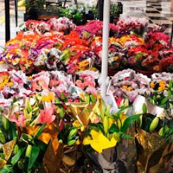 Las Flores Del Tano