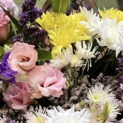 Le Bouquet Salta