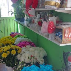 Los Nietos - Kiosco/florería
