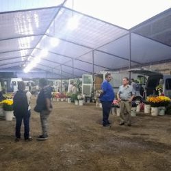 Mercado Cooperativo De Floricultores